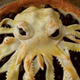 Illustration for article titled Today for gibbering chaos lunch, eat some Cthulhu pie!